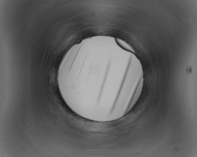 X0000089460044200707131958