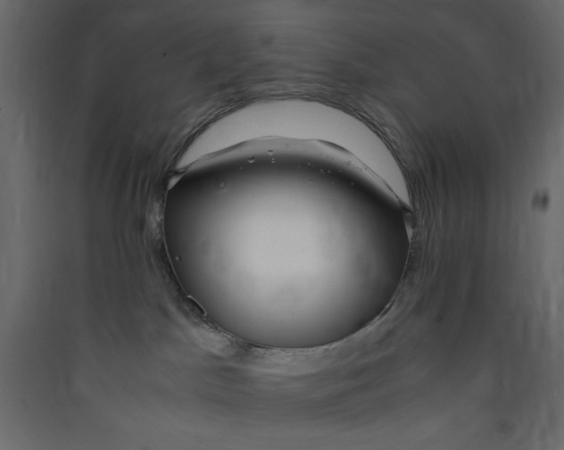 X0000089460045200707131958