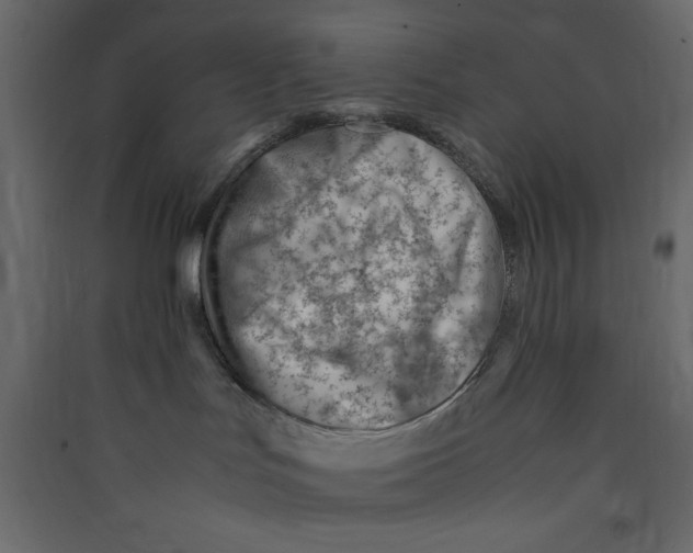 X0000089460047200707131958