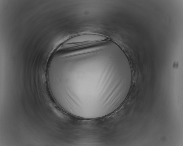 X0000089460050200707131957