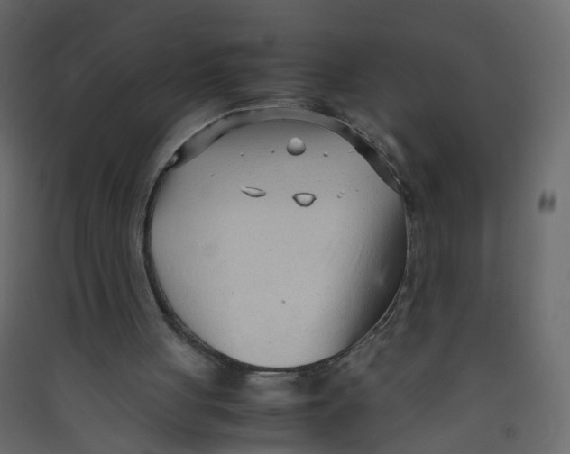 X0000089460051200707131957