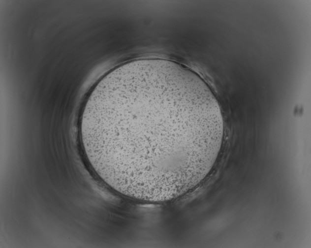 X0000089460053200707131957