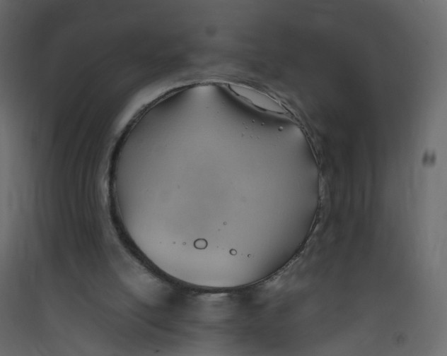 X0000089460054200707131957