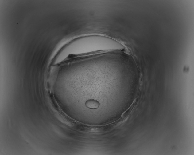 X0000089460056200707131957