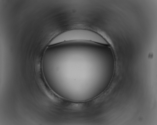 X0000089460057200707131957