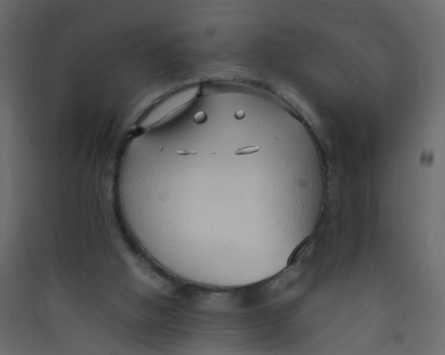 X0000089460058200707131957