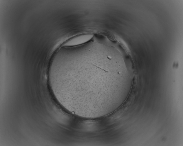 X0000089460059200707131957