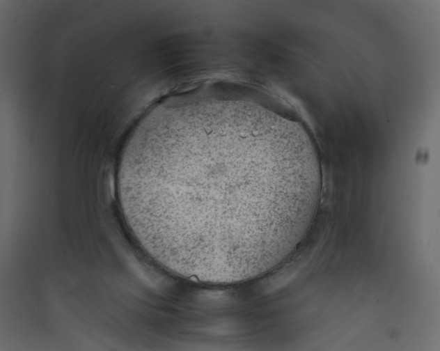 X0000089460061200707131957