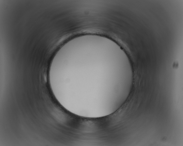 X0000089460062200707131957