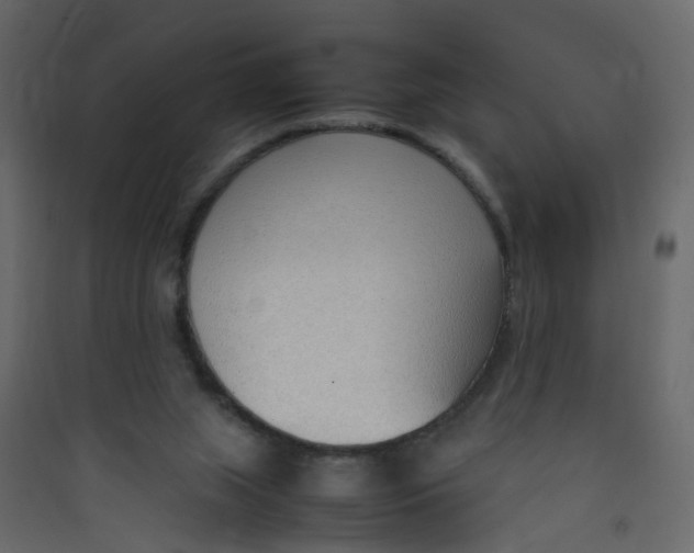 X0000089460063200707131957