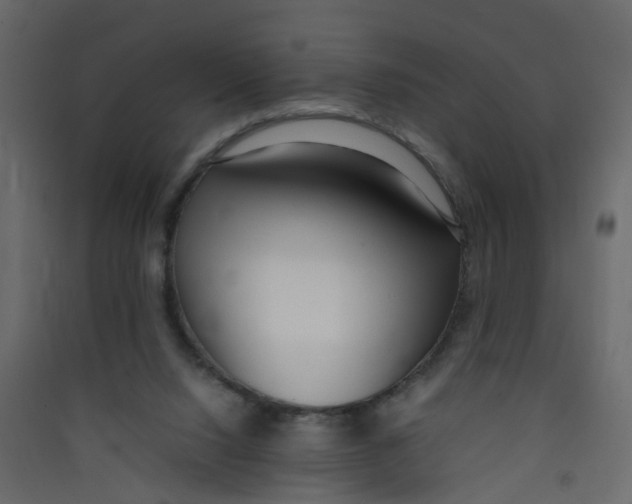 X0000089460064200707131957