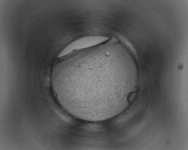 X0000089460065200707131957