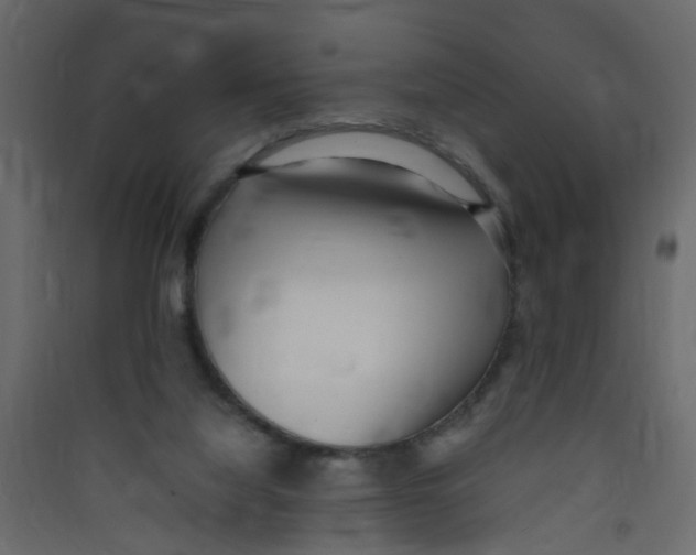 X0000089460068200707131957