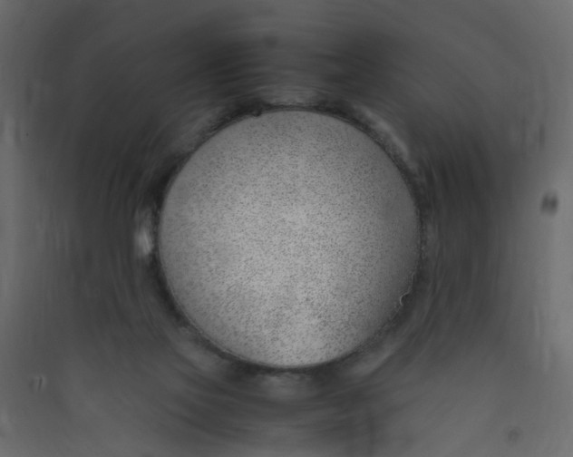 X0000089460069200707131957