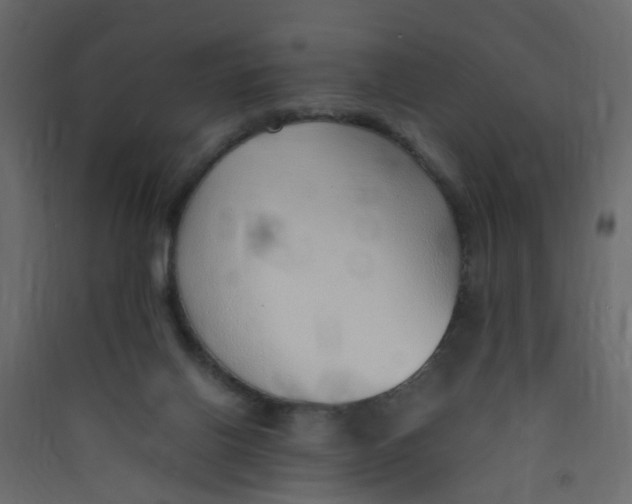 X0000089460070200707131957