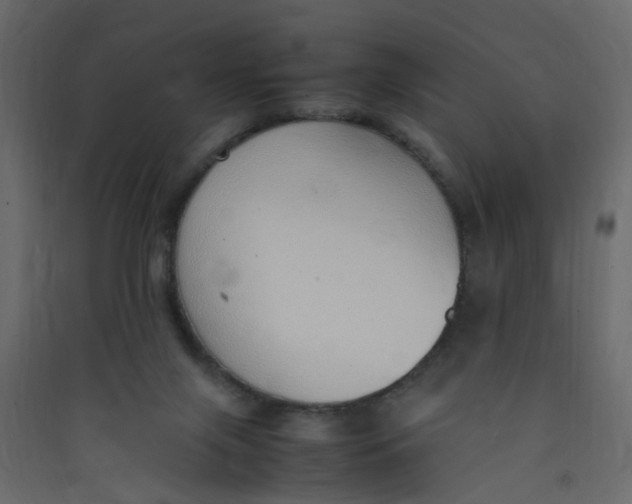 X0000089460071200707131957