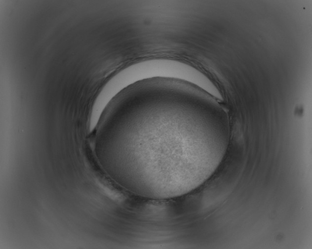 X0000089460076200707131957