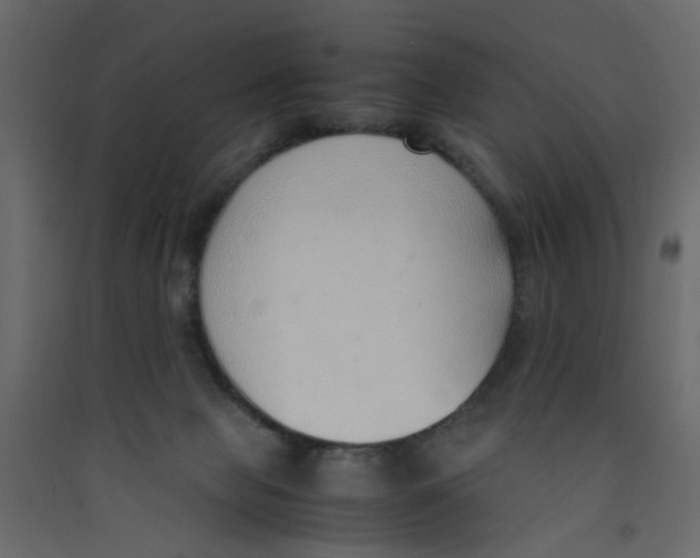 X0000089460077200707131957