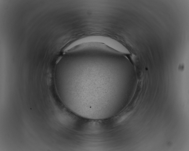 X0000089460080200707131957