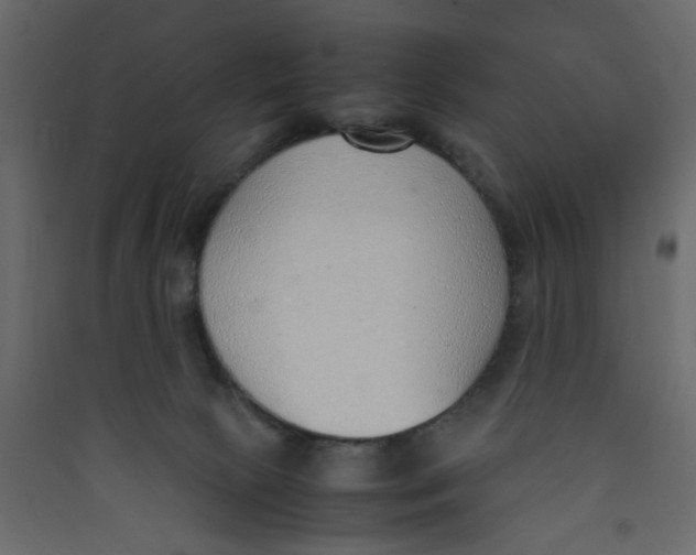 X0000089460081200707131957