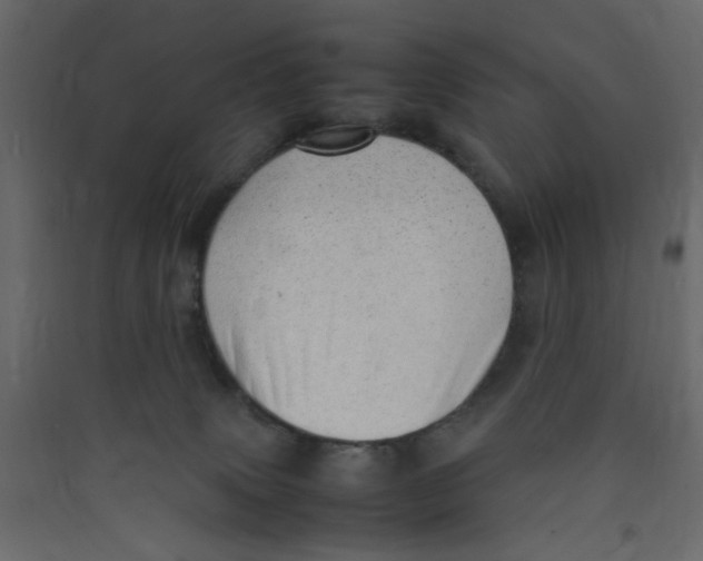 X0000089460083200707131957