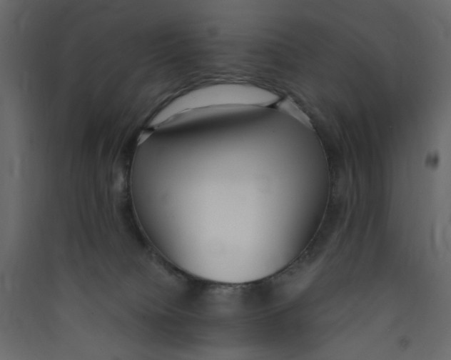 X0000089460084200707131957