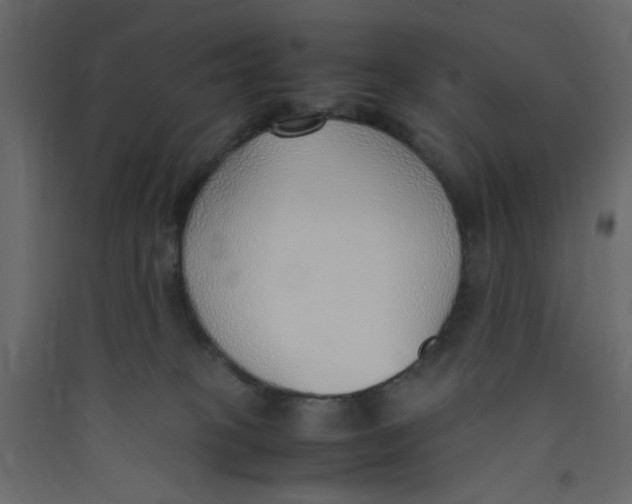 X0000089460085200707131957