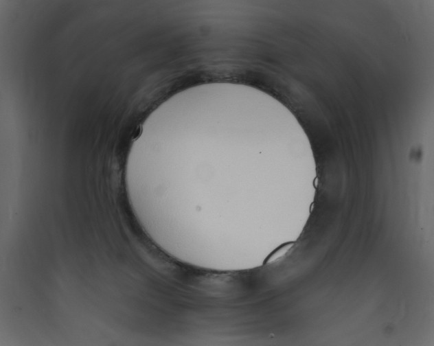 X0000089460086200707131957