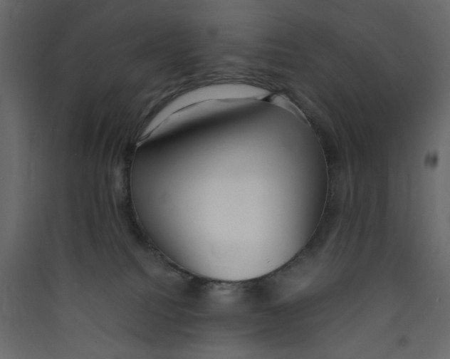 X0000089460088200707131957