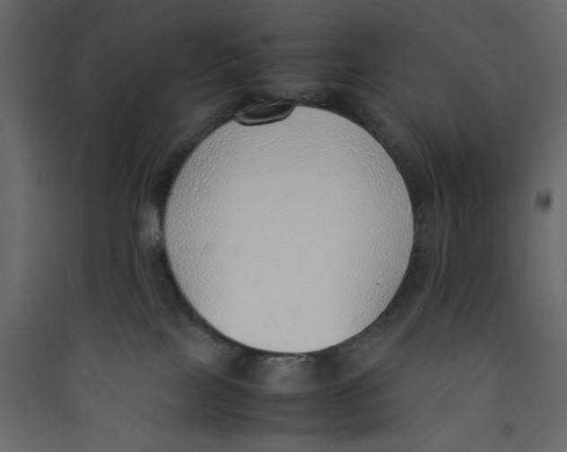 X0000089460089200707131957