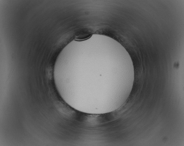 X0000089460090200707131957