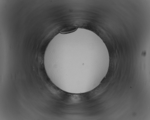 X0000089460091200707131957