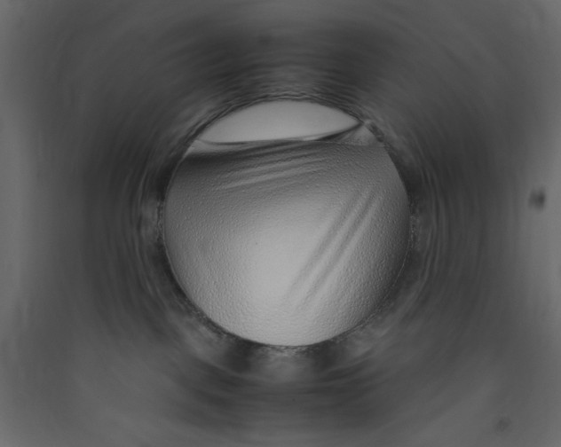 X0000089460093200707131958