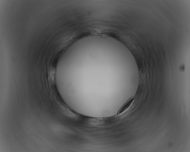 X0000089460094200707131958