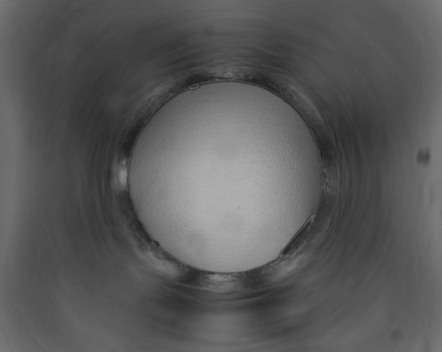 X0000089460095200707131958