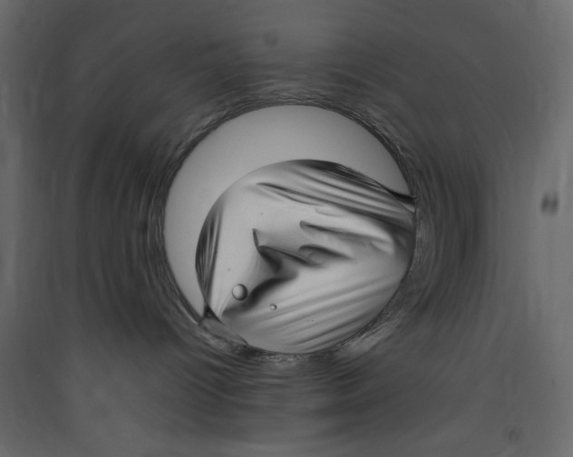 X0000089460096200707131958