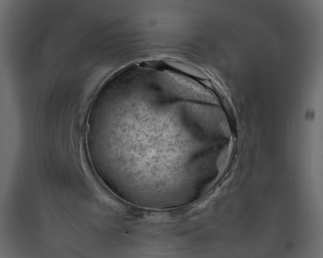 X0000089460097200707131957