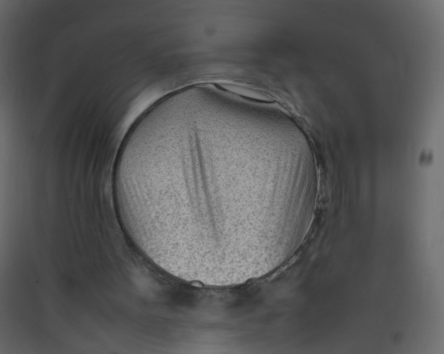 X0000089460099200707131957