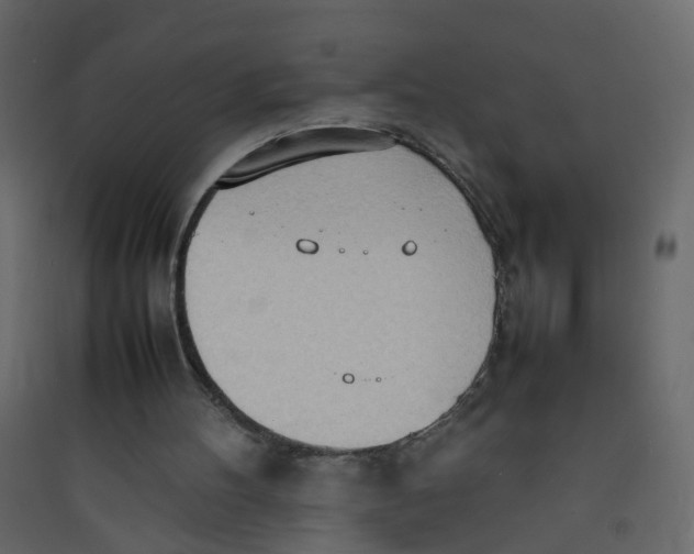 X0000089460100200707131957