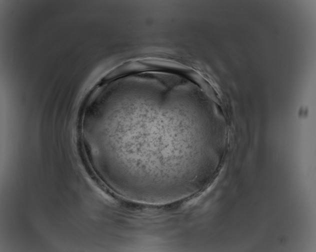 X0000089460101200707131957