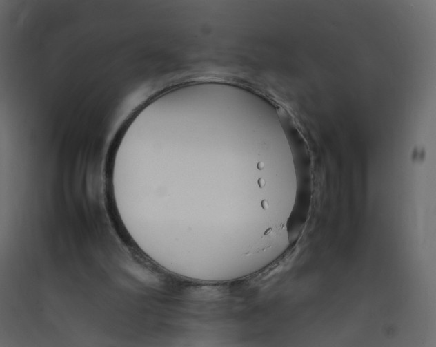 X0000089460102200707131957