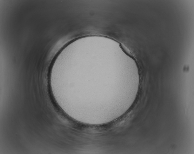 X0000089460103200707131957