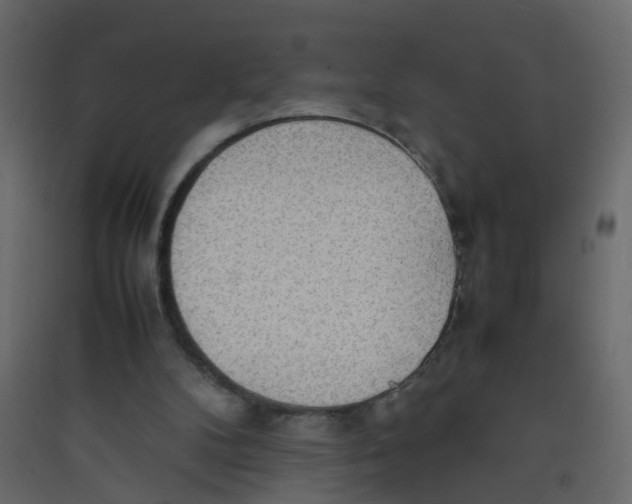 X0000089460104200707131957