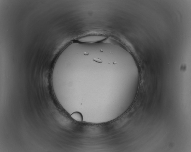 X0000089460106200707131957