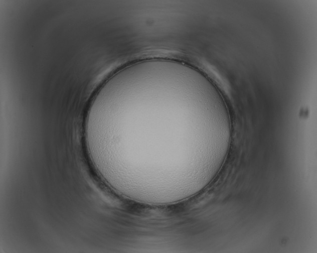 X0000089460107200707131957