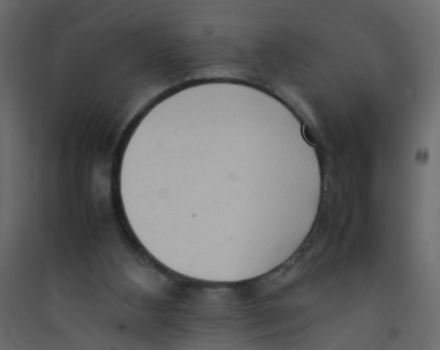 X0000089460108200707131957