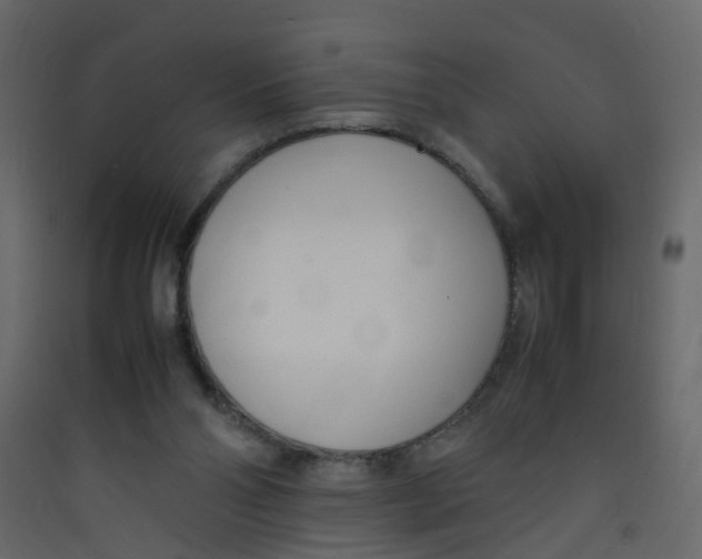 X0000089460110200707131957