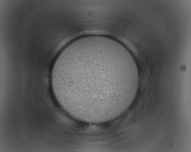 X0000089460111200707131957