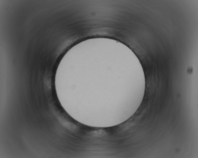 X0000089460112200707131957