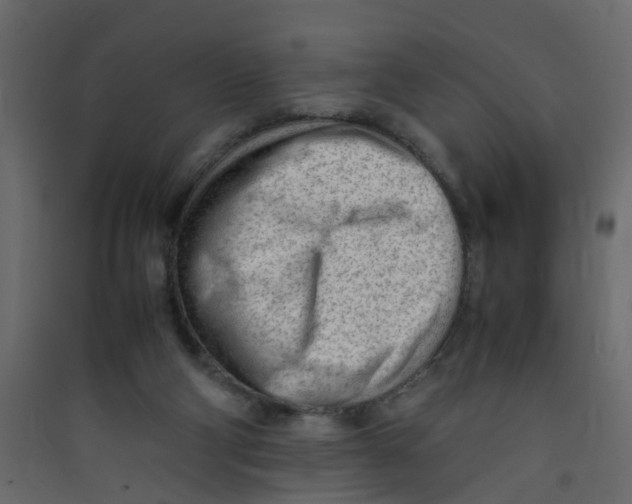 X0000089460114200707131957